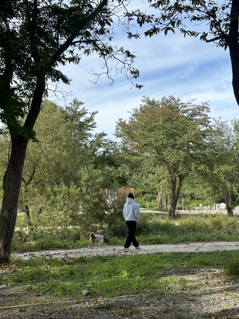 참새둥지야영장 이미지