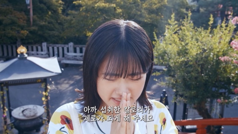 플럼비 이미지