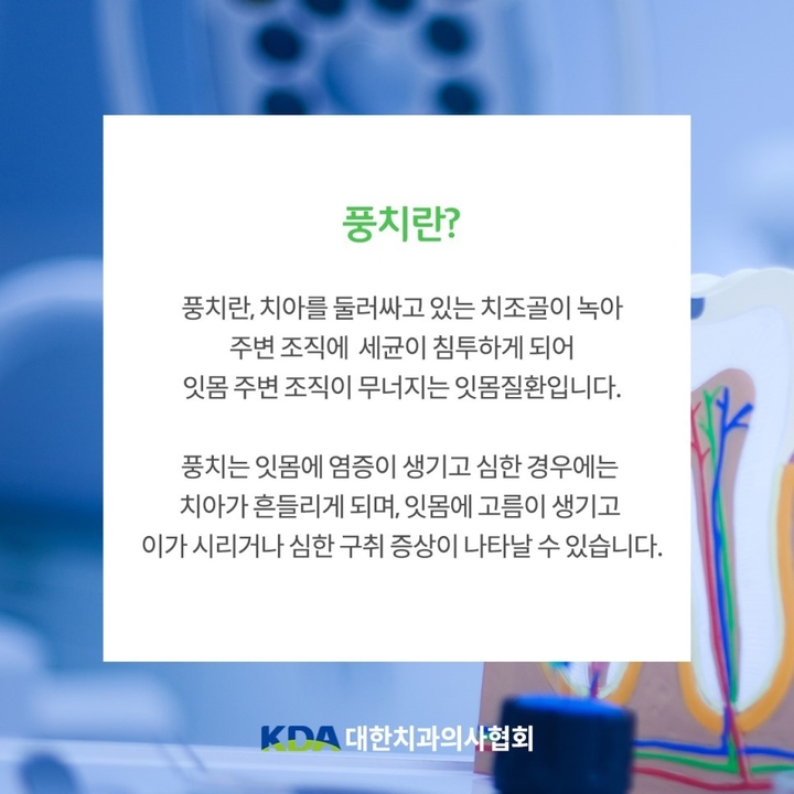 타이거치과 이미지