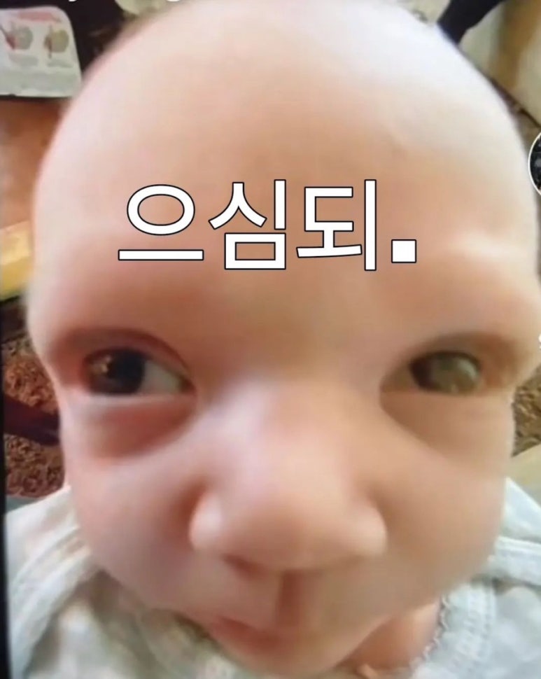 태풍셀프식당 이미지