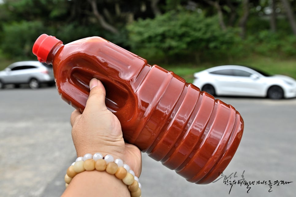 경주초장식당 이미지