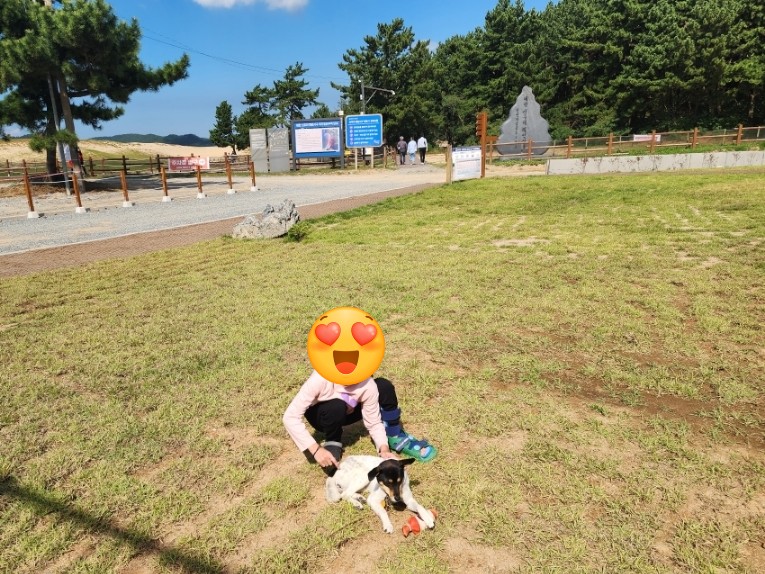 신두리 오렌지 캠핑장 이미지
