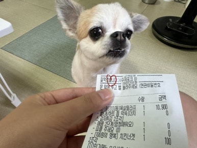 파스타예요 대구남구점 이미지