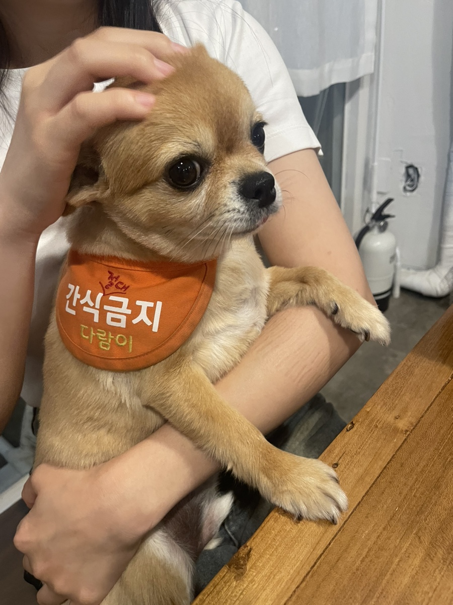 마포생삼겹 이미지