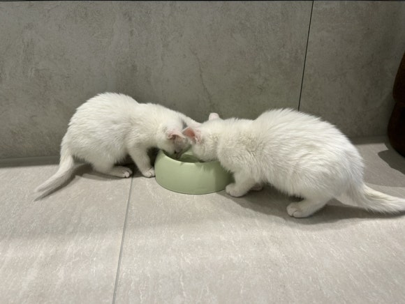 개명선물의집 이미지