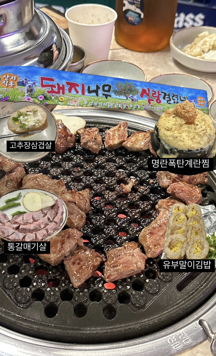 돼지나무 사랑걸렸네 이미지