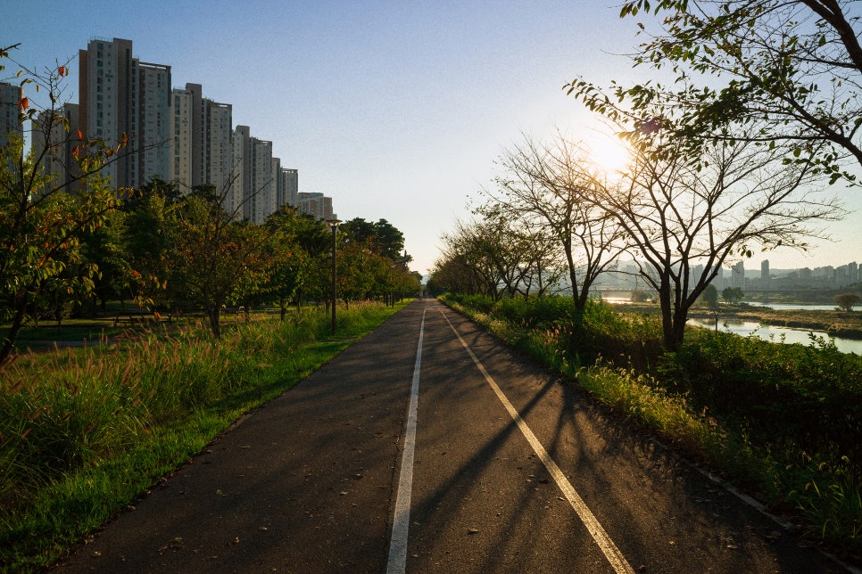 리코플러스 이미지