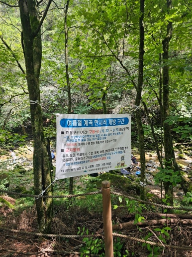 영양콩손칼국수 이미지