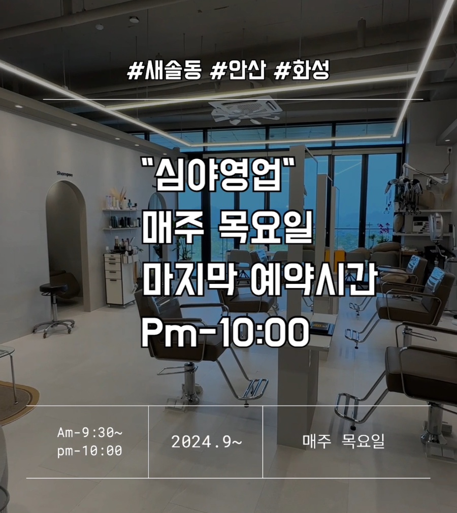 테오르헤어 이미지