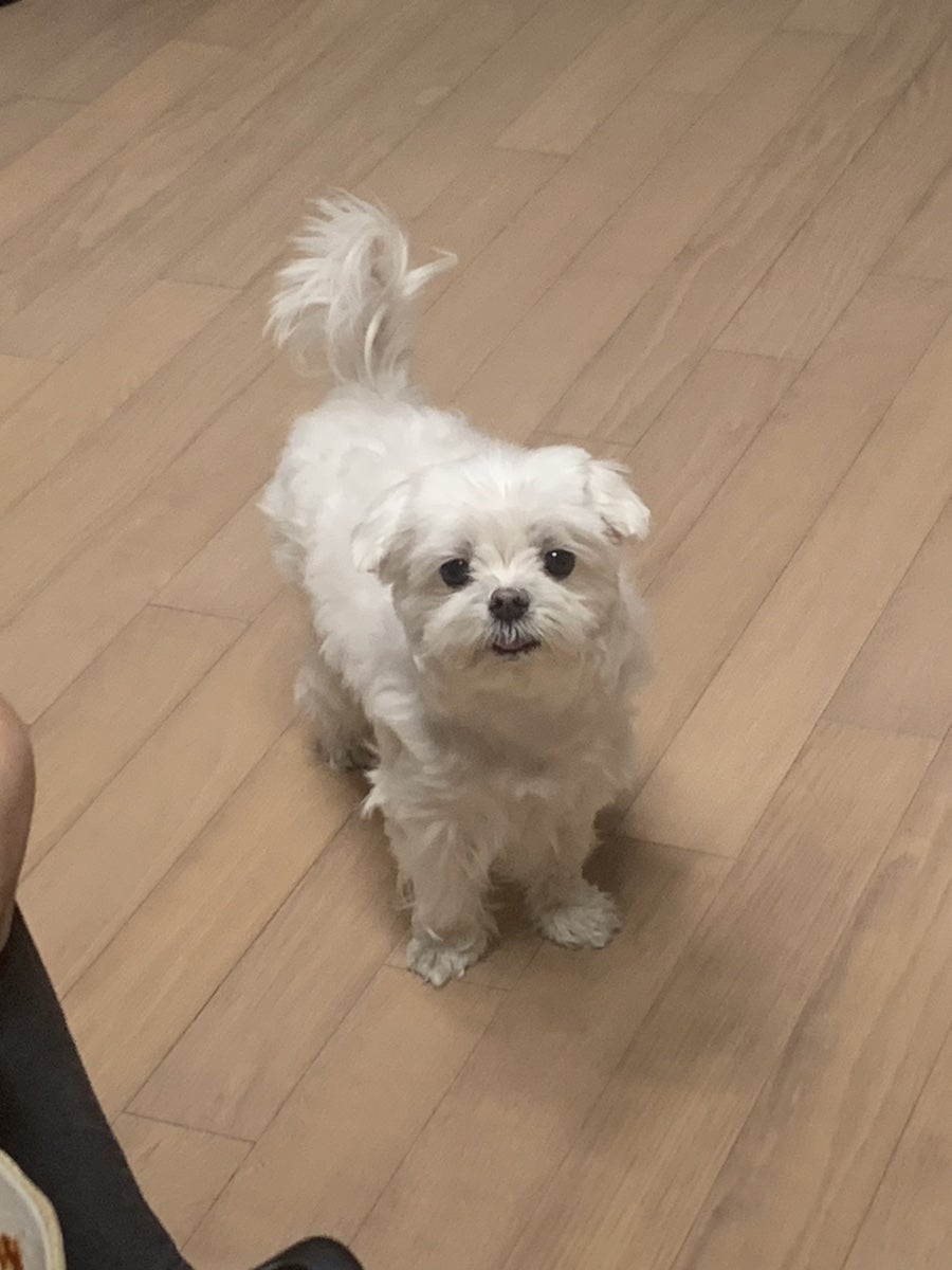 굿모닝토토 이미지