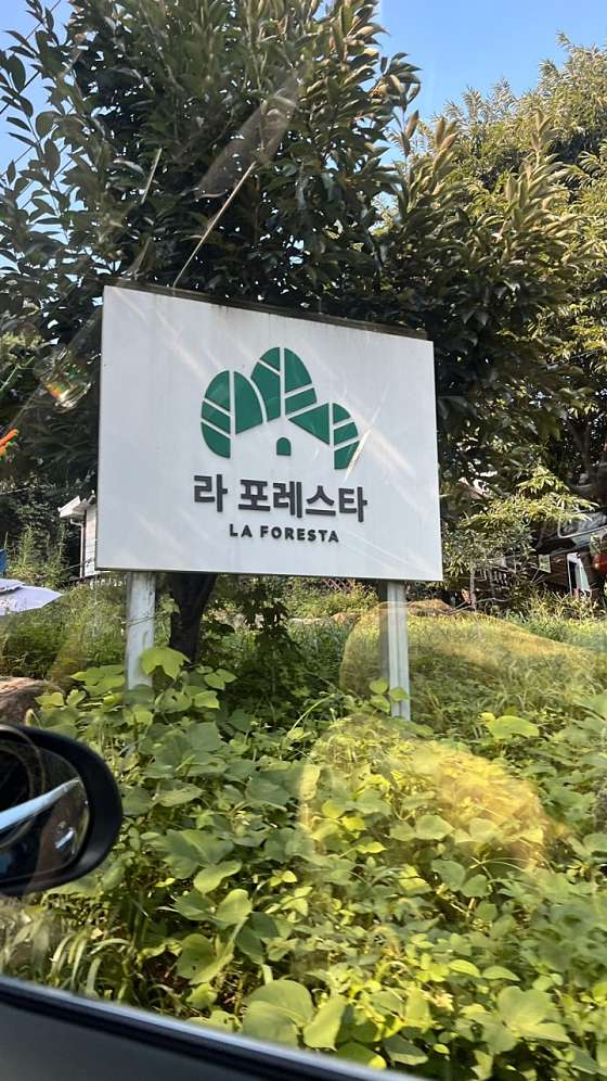 라포레스타 이미지
