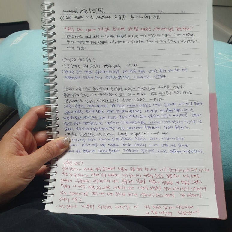 헤이드니 이미지