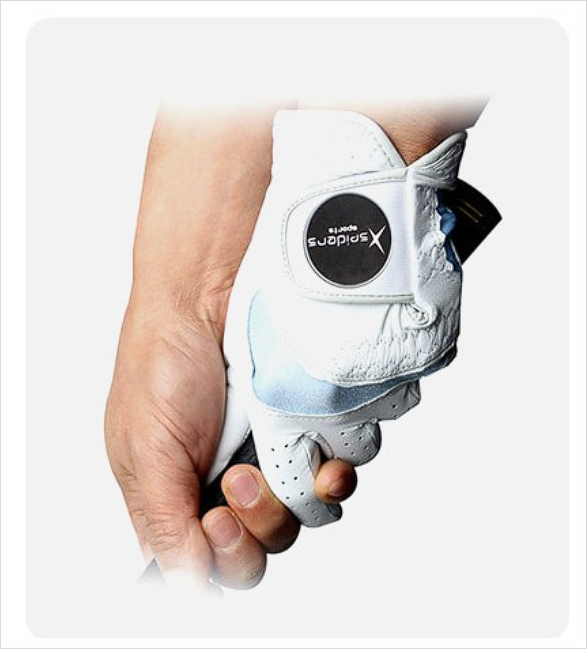 엑스올디자인 이미지