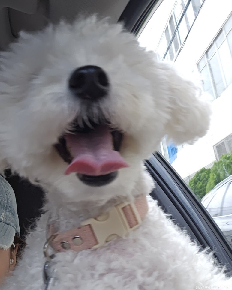 이김 이미지