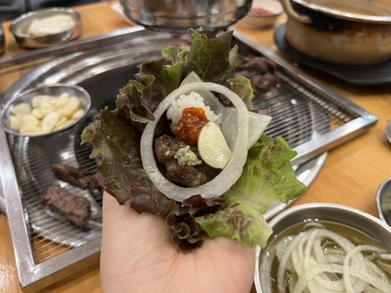 은행나무갈매기 이미지