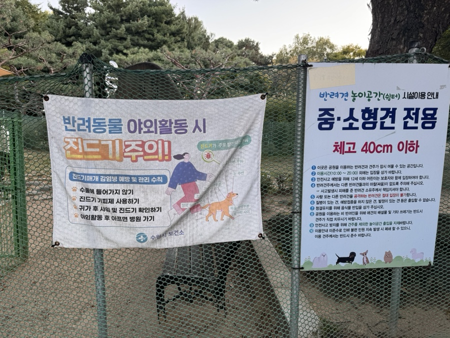 수원 올림픽공원 강아지 놀이터 이용 후기 및 정보 — 사진 2