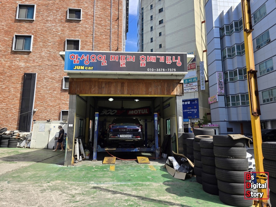준카 이미지