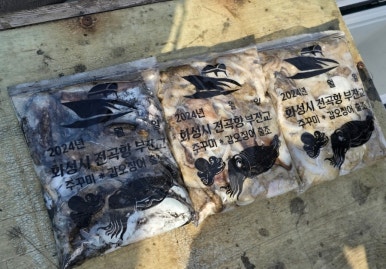 해운호 이미지
