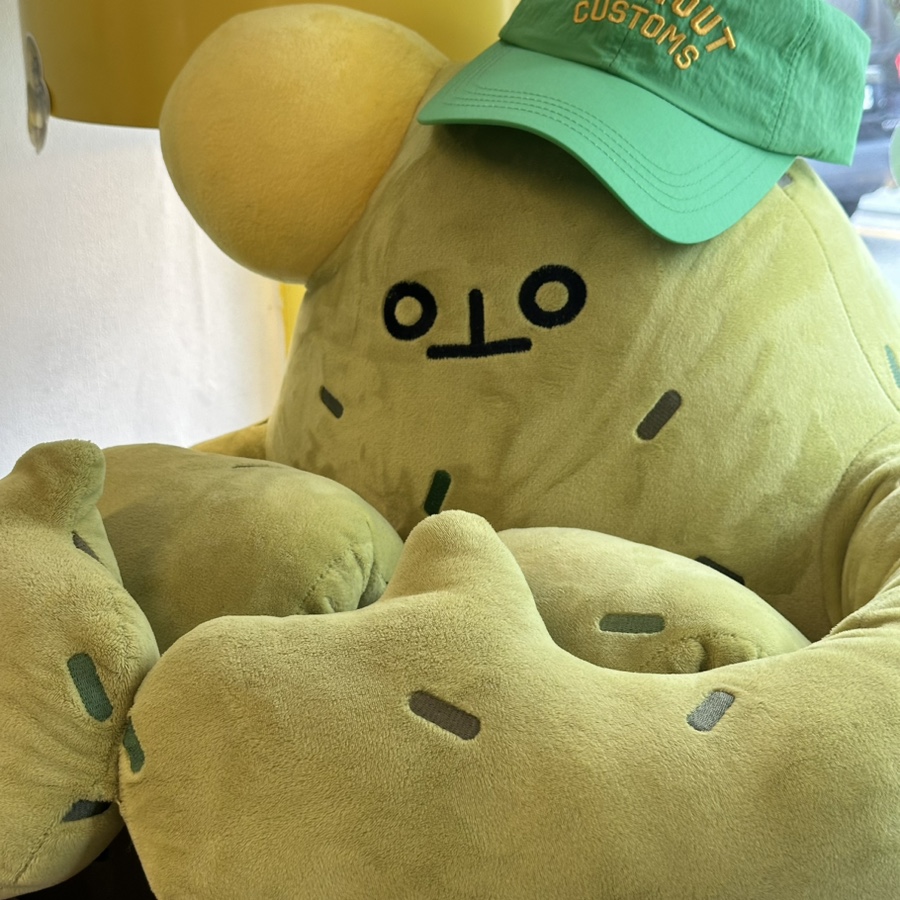 오케이선인장 이미지