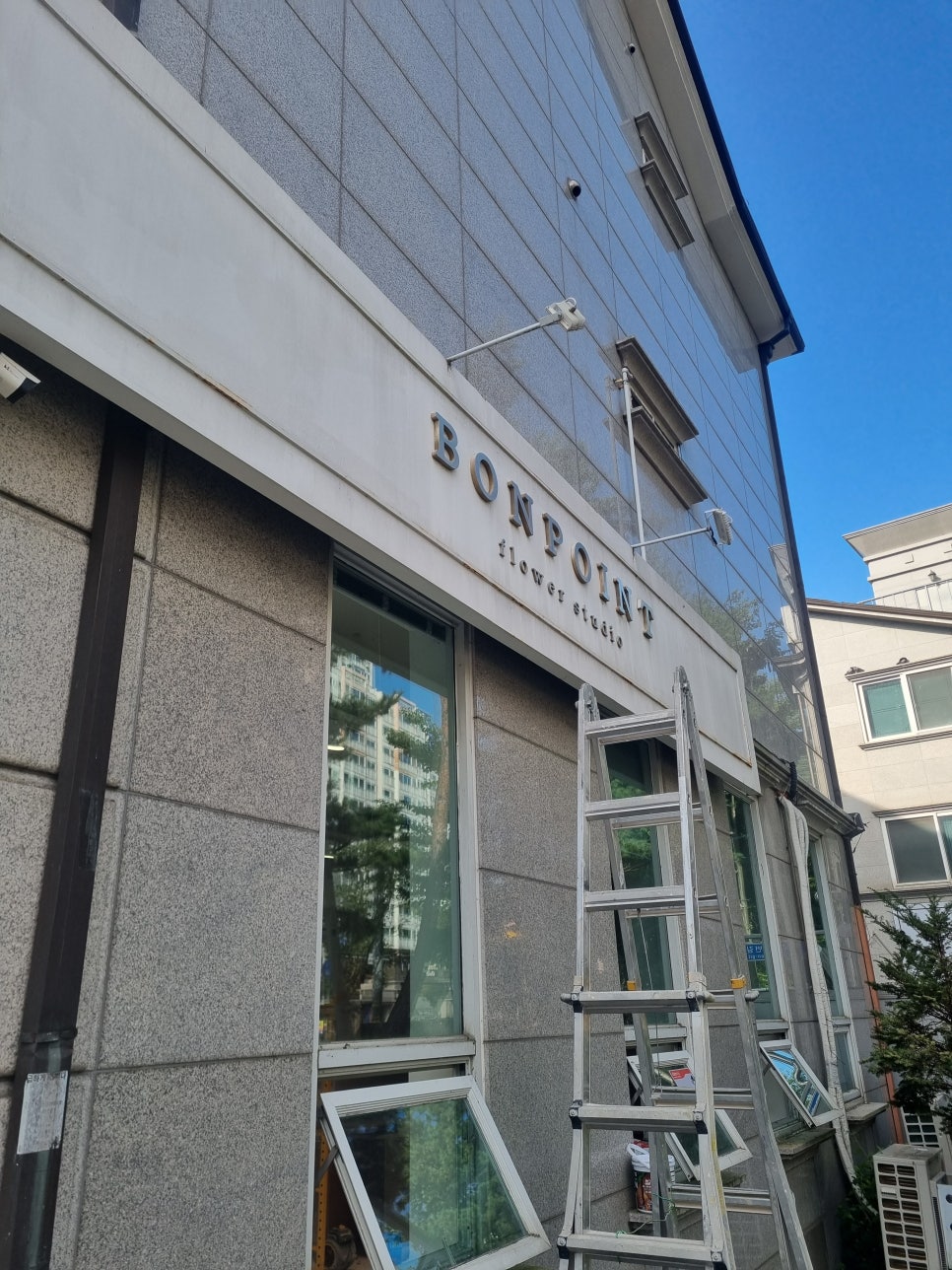 스테인동백 이미지