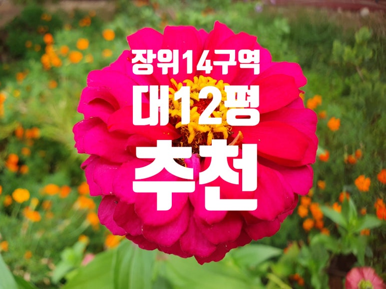 뉴예성 이미지