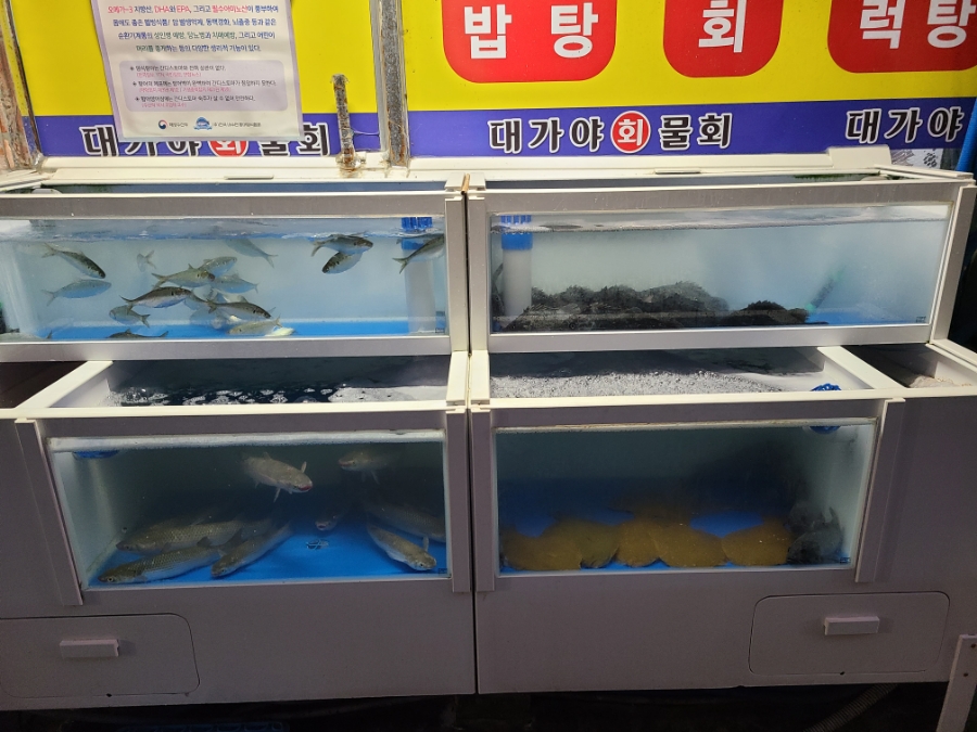 대가야횟집 이미지