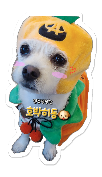 삼거리생대패 이미지