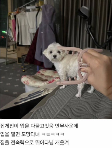 덴키라멘 이미지