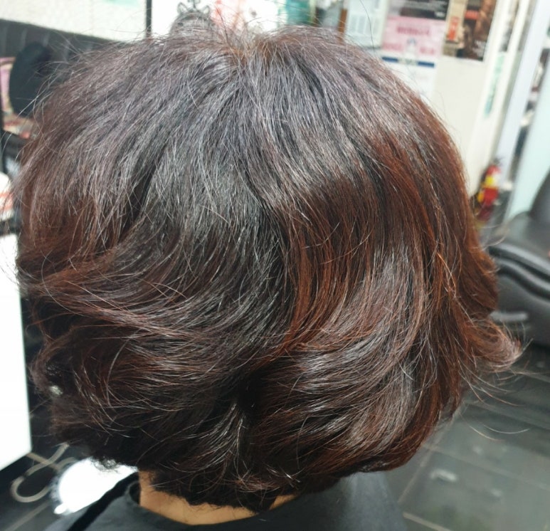 비채미 이미지