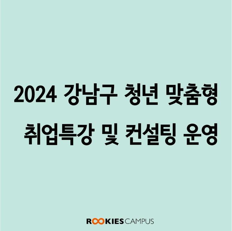 와이즈레인 이미지