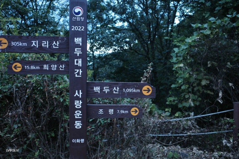 헤기오르삭 이미지