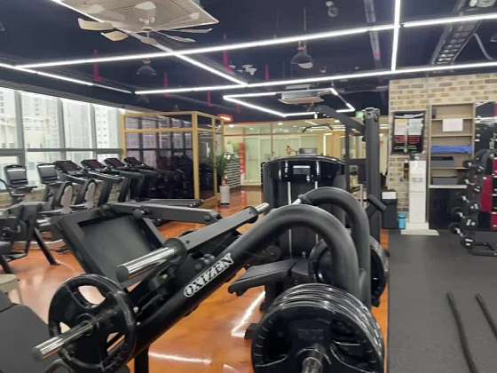 Top Gym 이미지