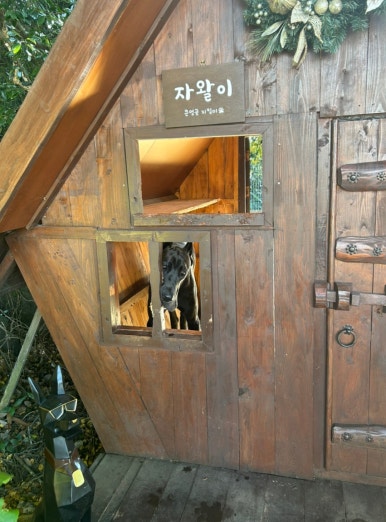 로그릭중문점 이미지