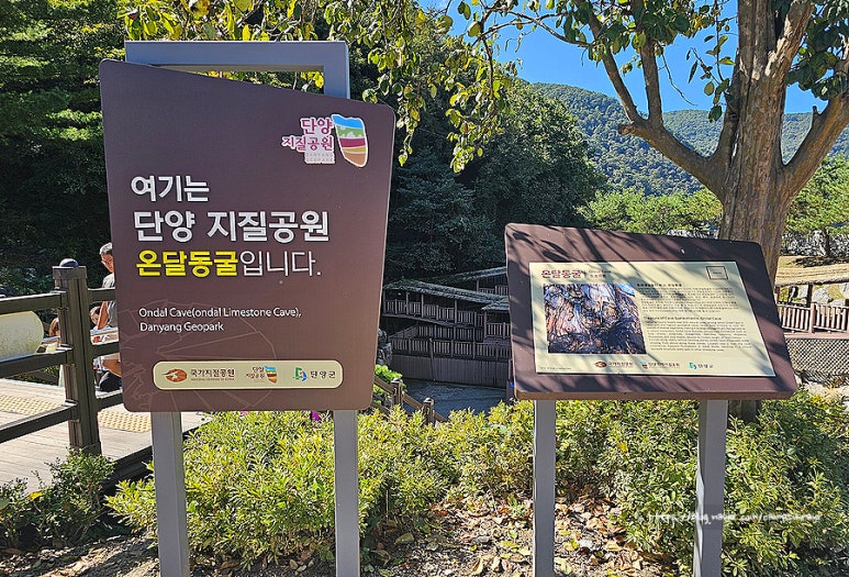 달고나대패 이미지