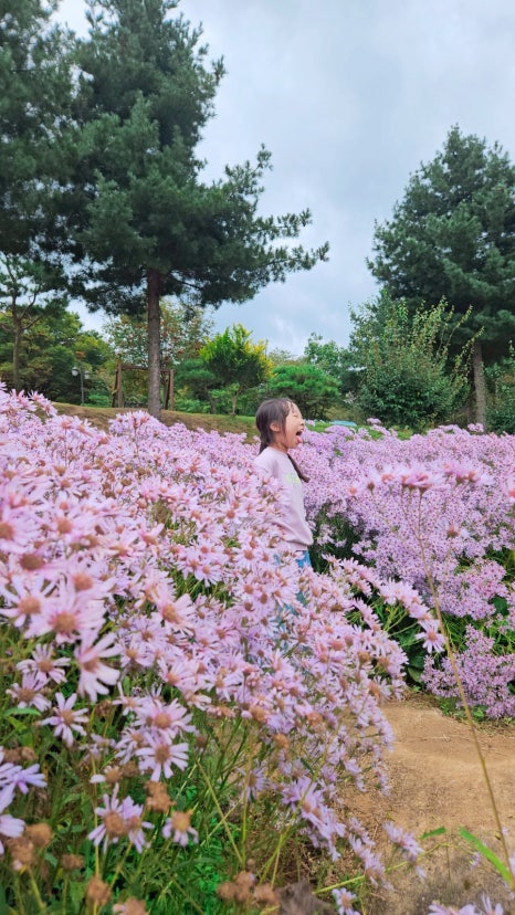 문희꽃밭 이미지