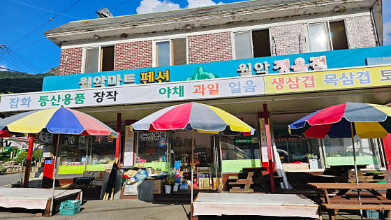 사계절 야영장 이미지