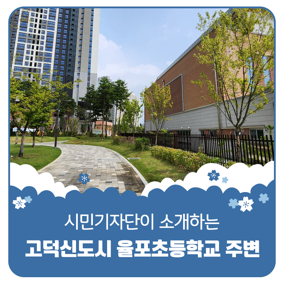 율포초등학교 이미지