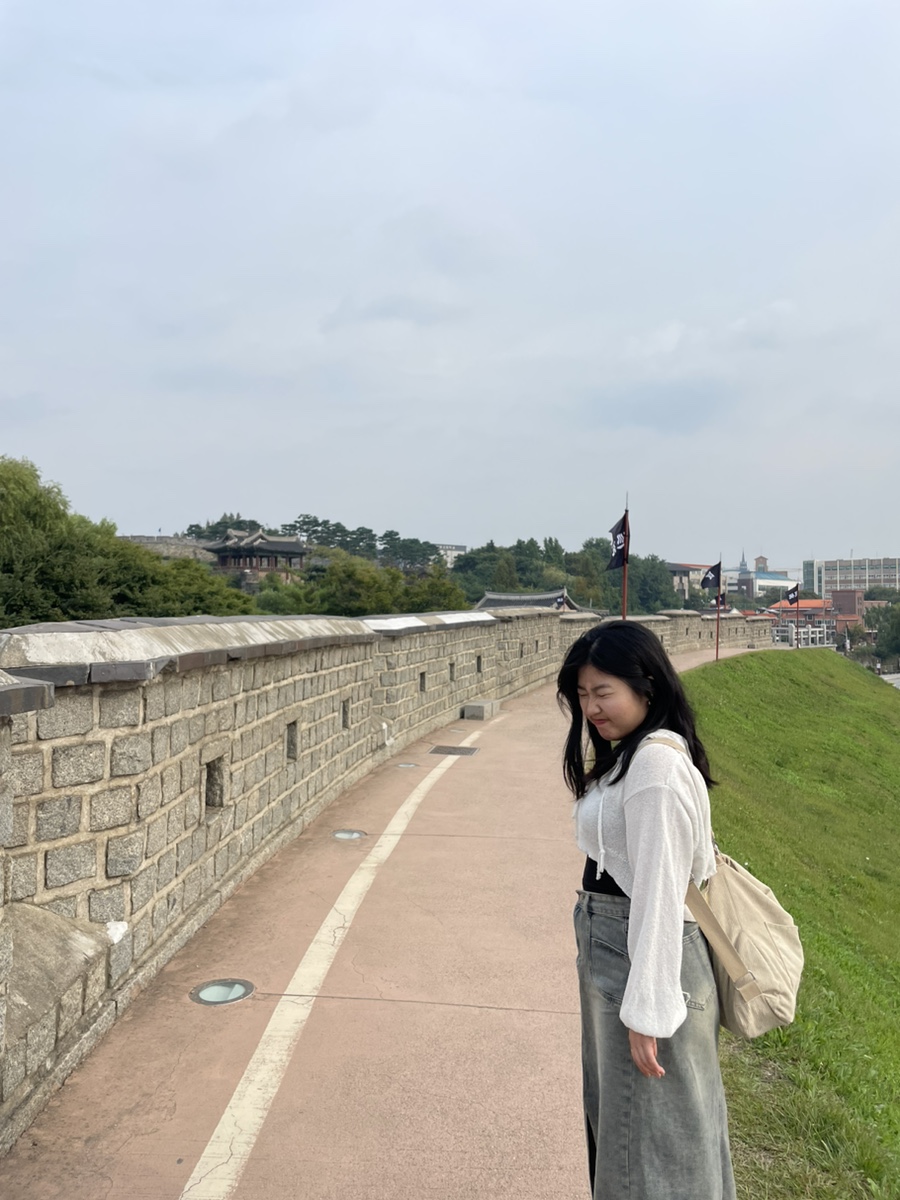 공공칠 이미지
