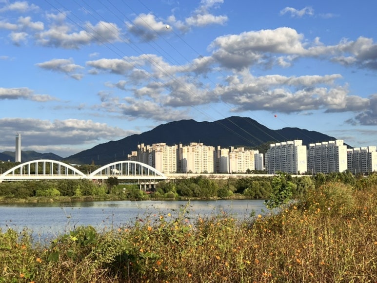 힐링이돼지 이미지