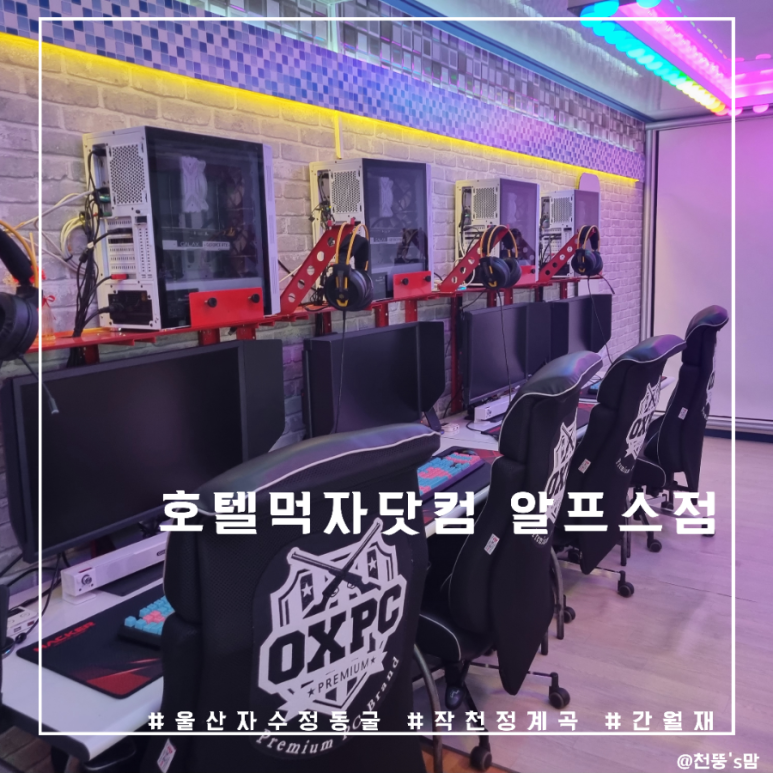 먹자닷컴 이미지