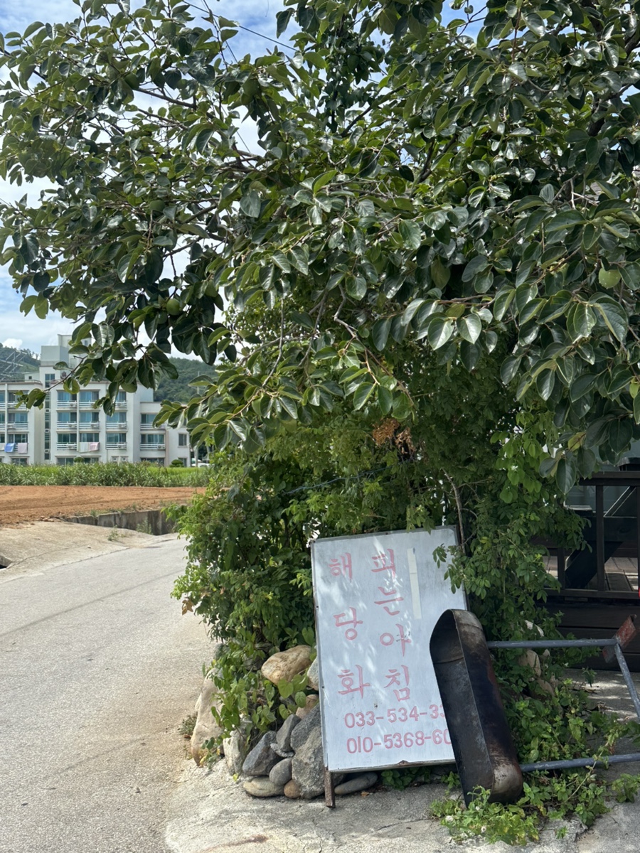 해당화민박 이미지