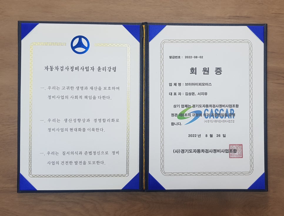 브이아이피모터스 이미지