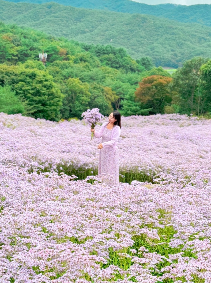 문희꽃밭 이미지