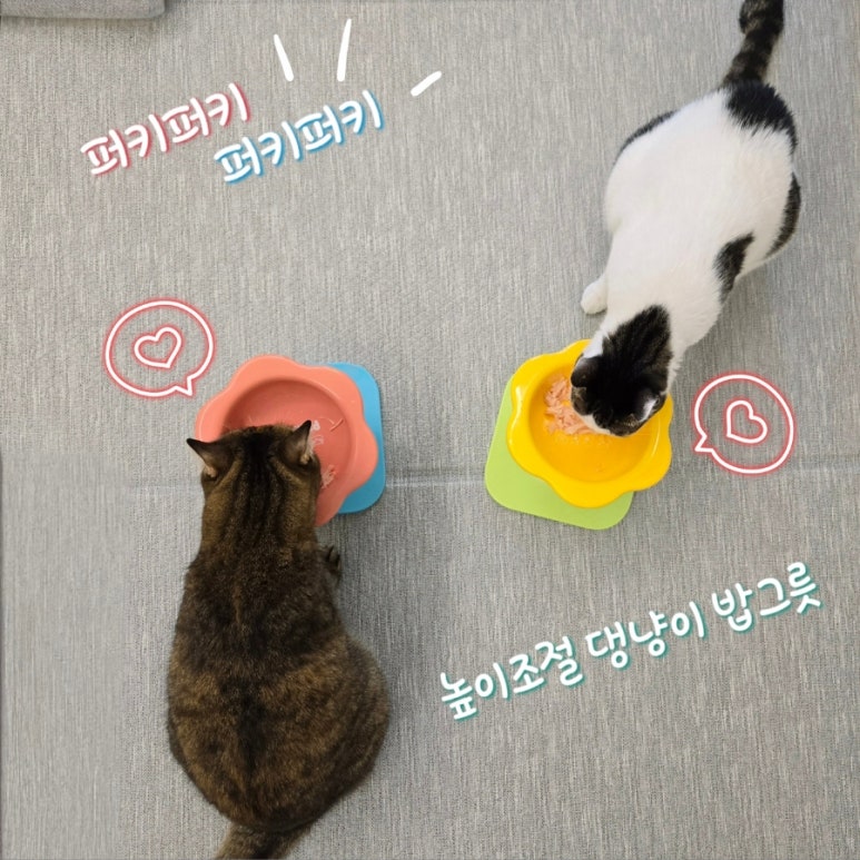 펫키퍼 이미지