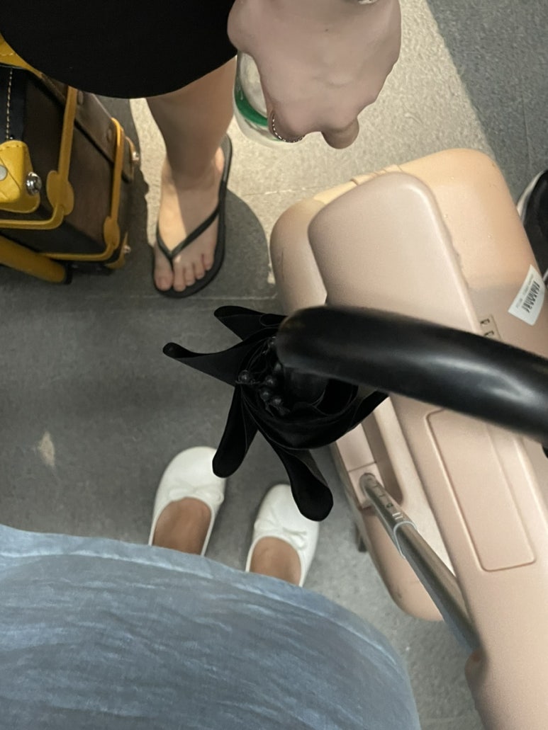 세트리다 이미지