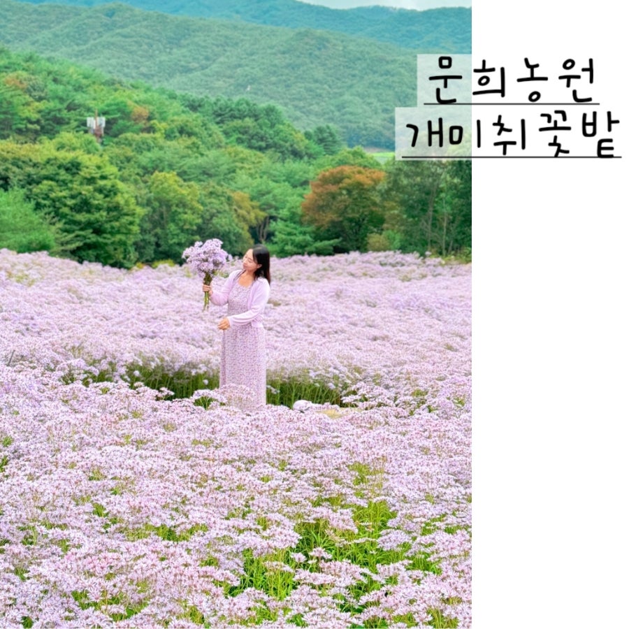 문희꽃밭 이미지