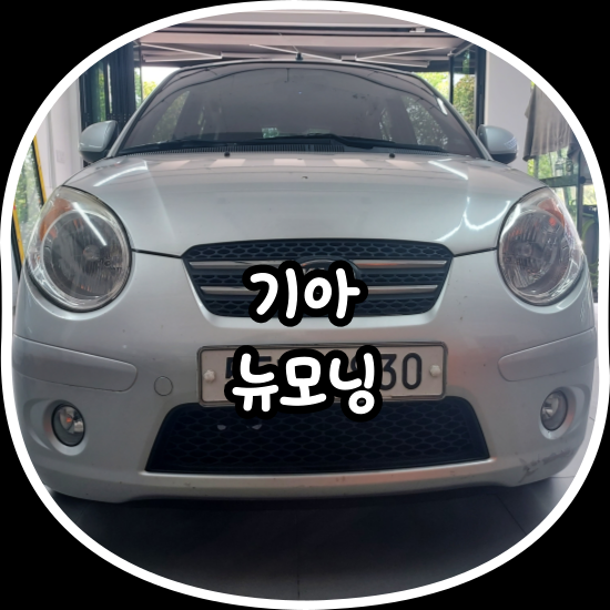 김프로카케어 이미지