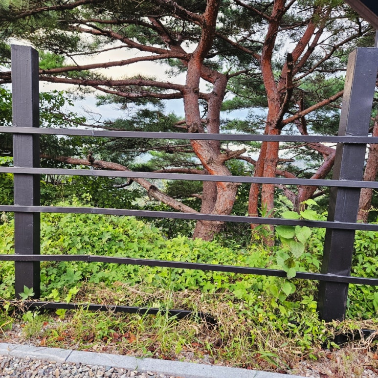 산바다캠핑장 이미지