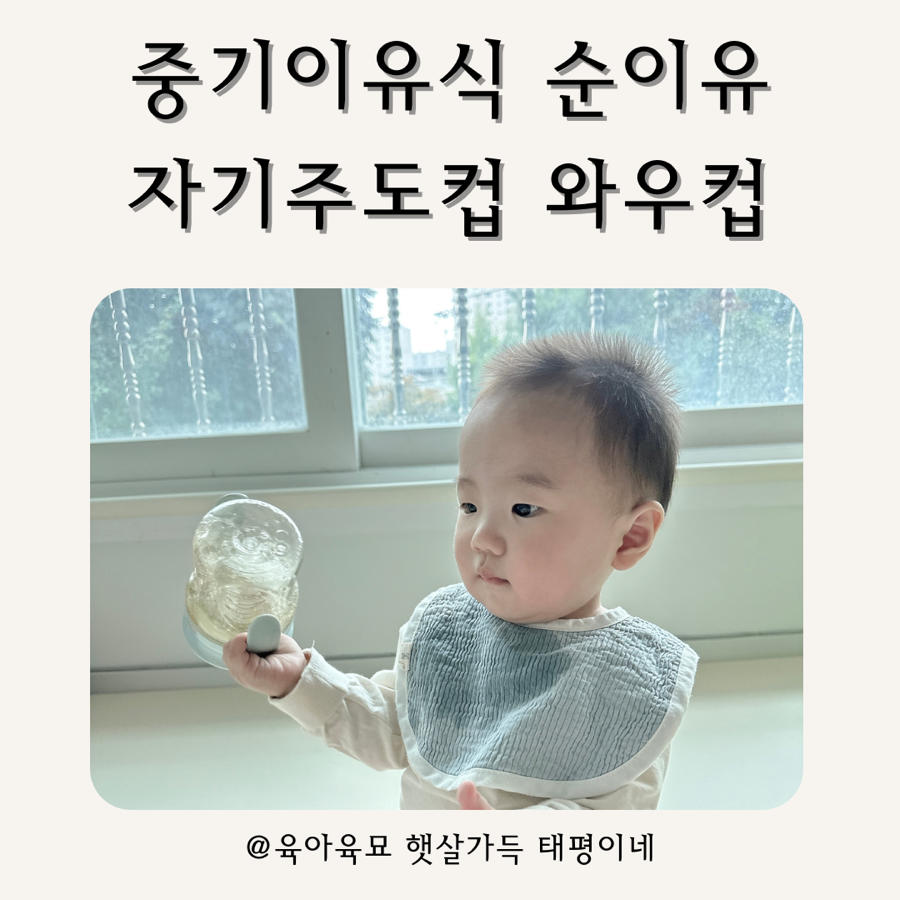 태평중기 이미지