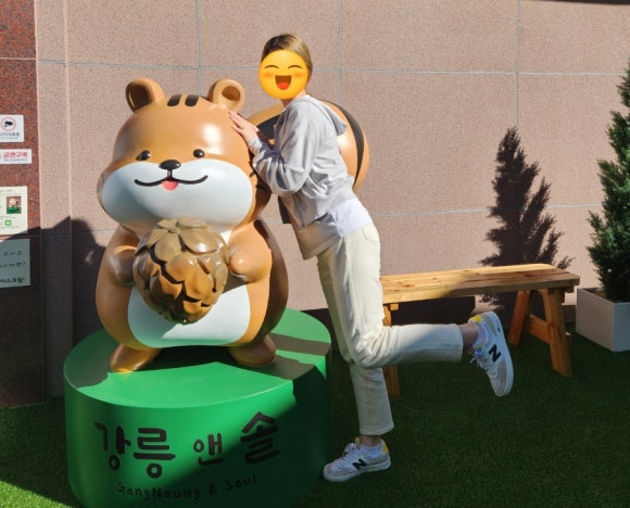 강릉앤솔 이미지